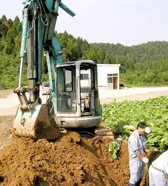 沢野ごぼう