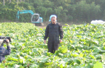 沢野ごぼう 旅サラダ